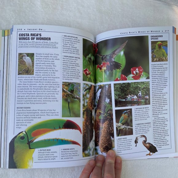 Insight Guides - Costa Rica Guidebook Travel Book - Picture 10 of 14